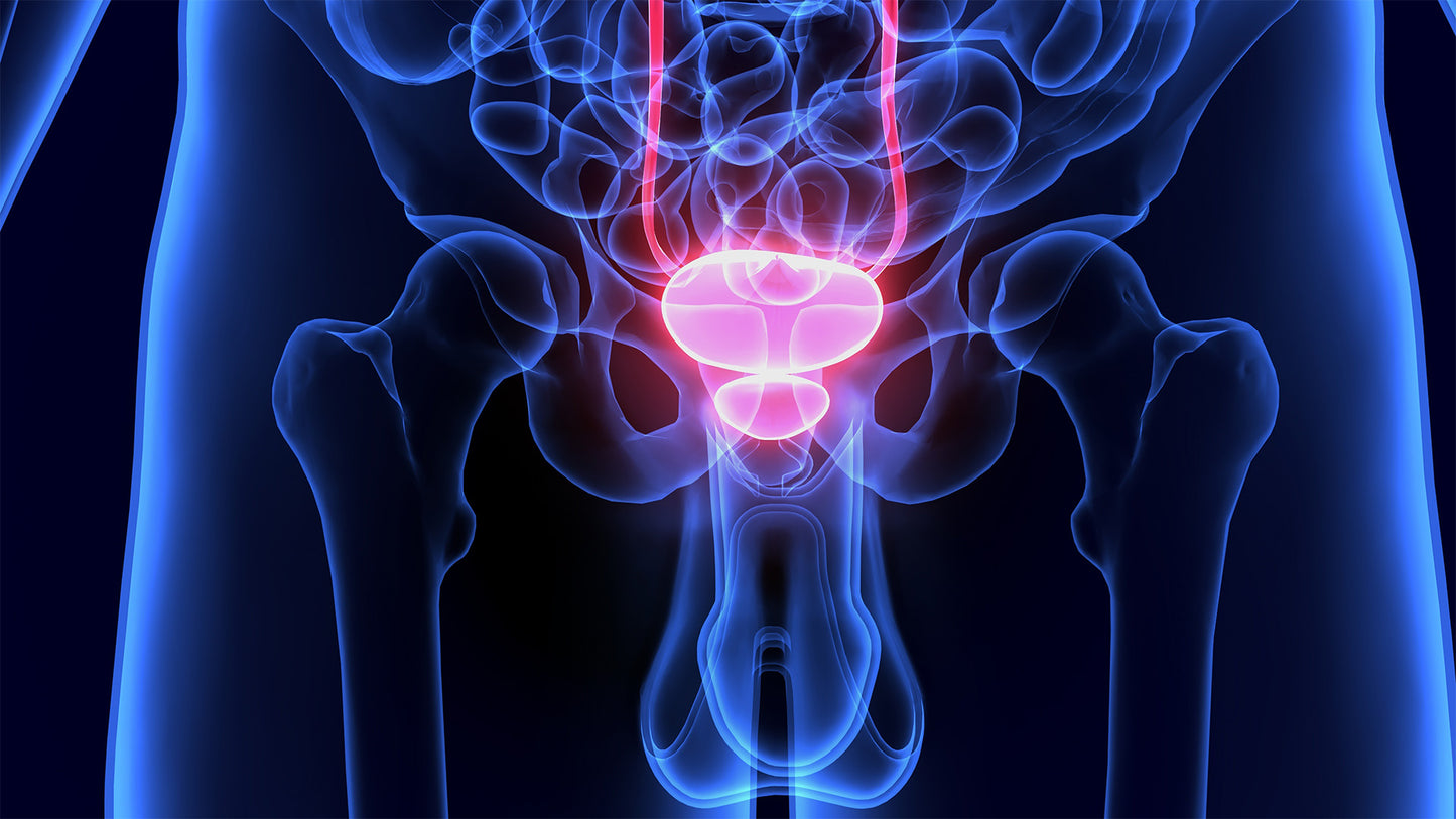 9 Tips for Keeping a Healthy Prostate