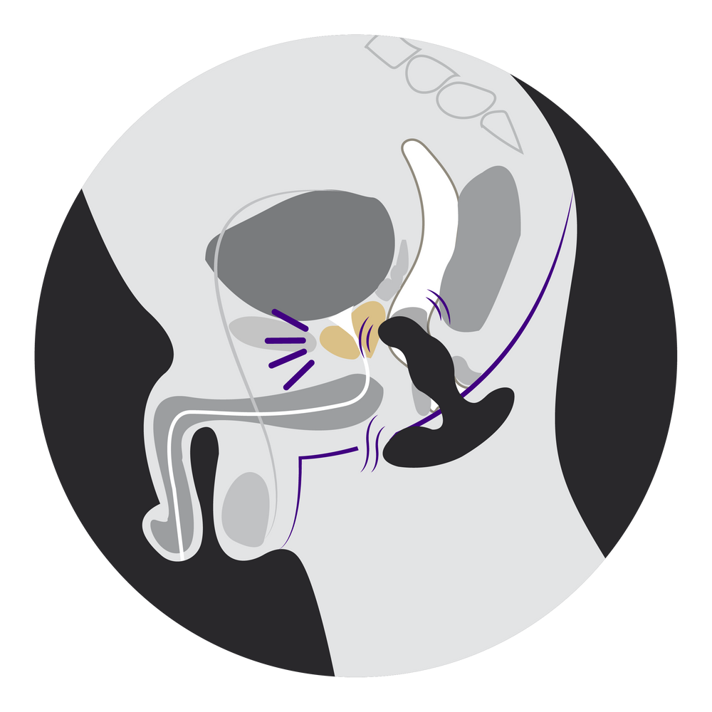 illustration of male anatomy with a prostate massager inserted into rectum for prostate stimulation